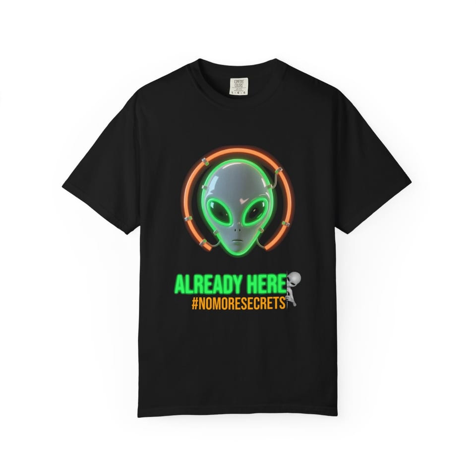 Already Here Neon Grey Tee, front view (Printify product mockup)