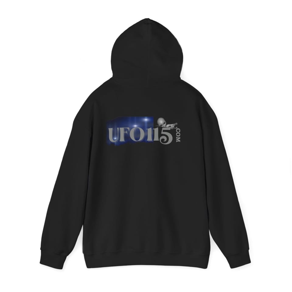 Area 51 Black Triangle Hoodie, back 2 view (Printify product mockup)