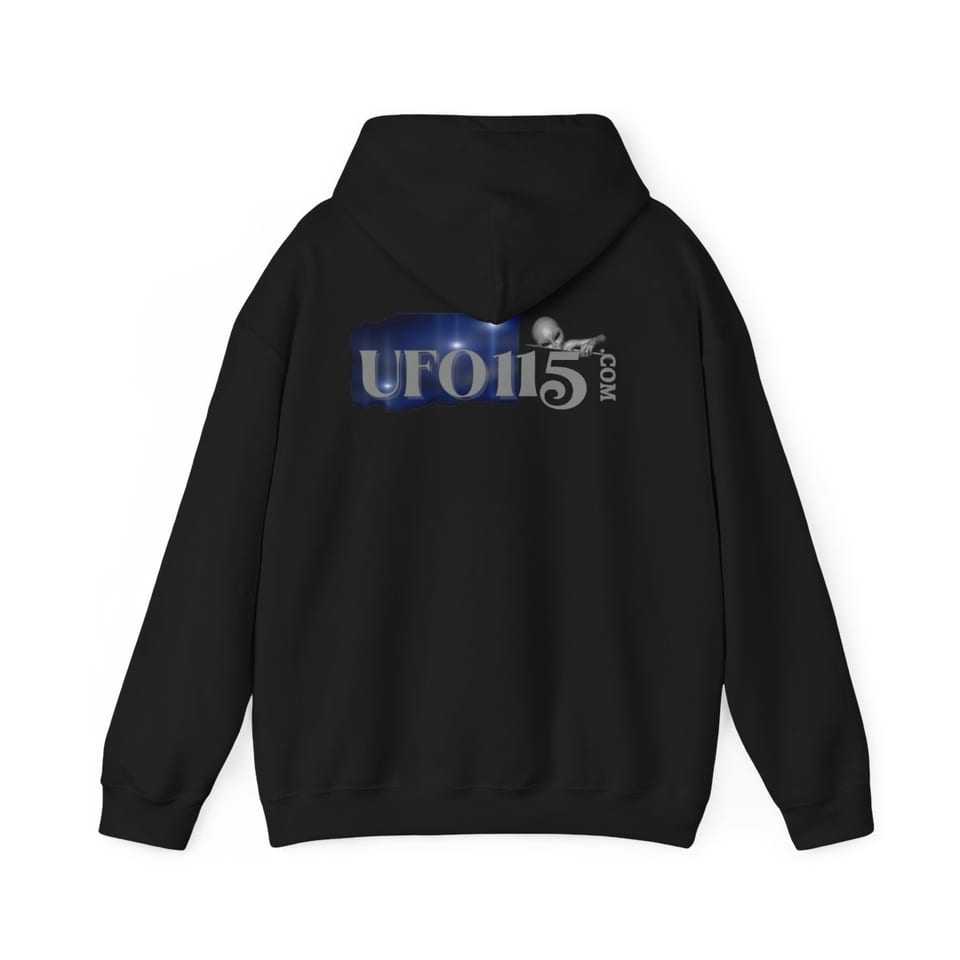 Area 51 Black Triangle Hoodie, back view (Printify product mockup)