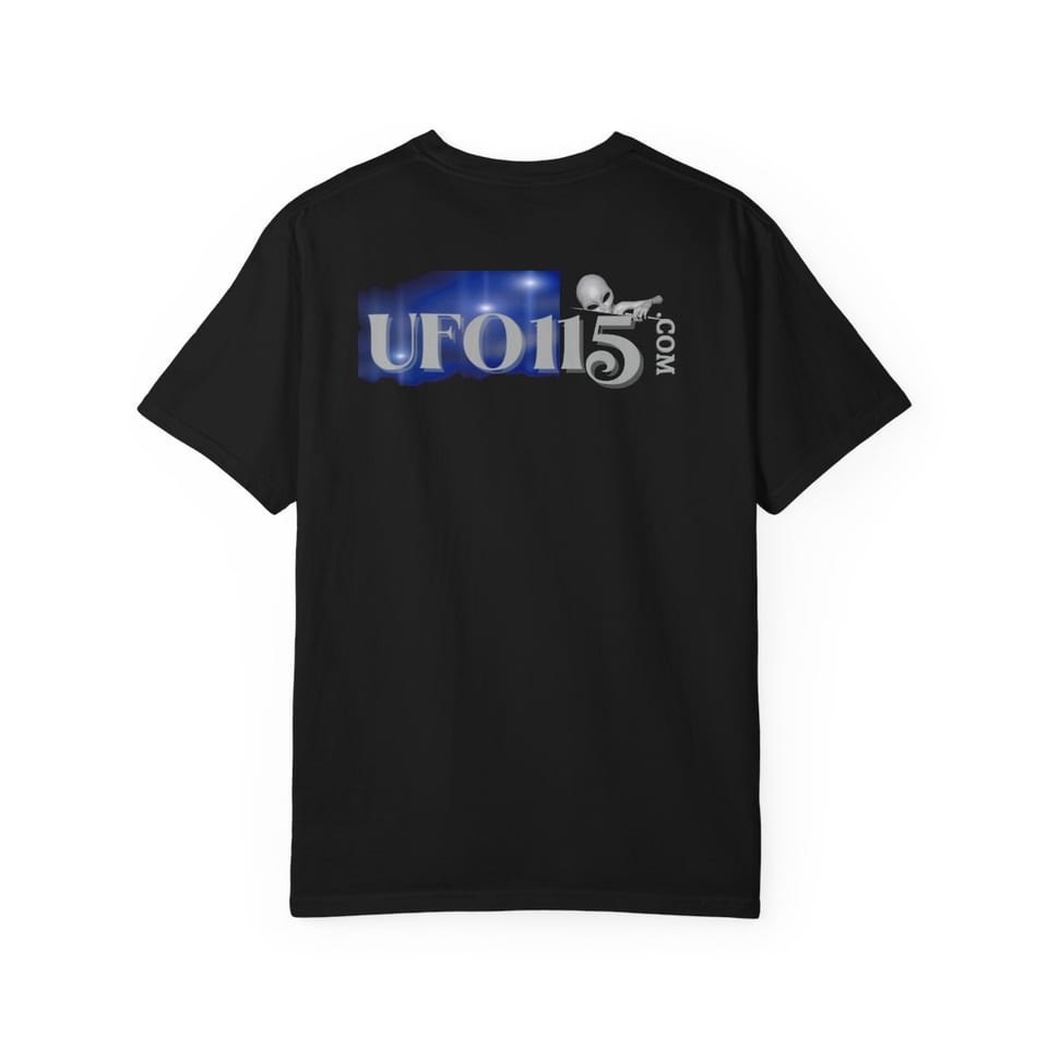 Area 51 Black Triangle Tee, back view (Printify product mockup)