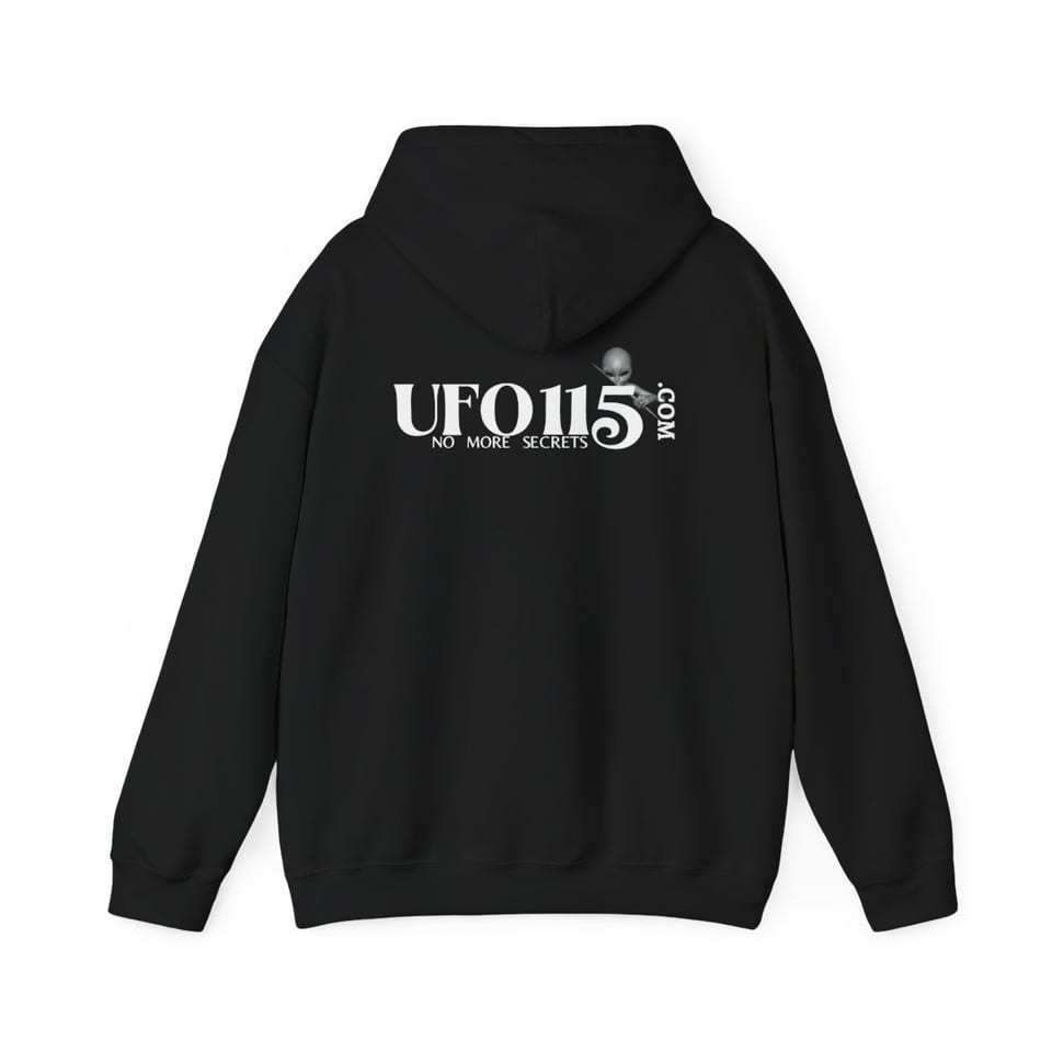 Area 51 Reverse Engineering Dept Hoodie, back view (Printify product mockup)