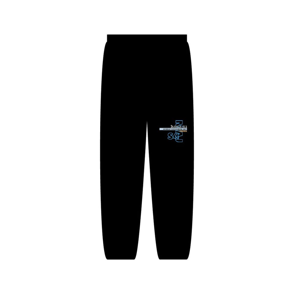 Area 51 Reverse Engineering Dept Sweatpants, back view (Printify product mockup)