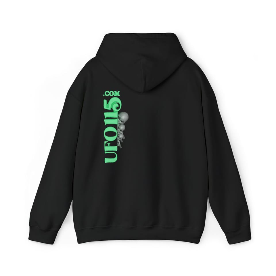Base on the Moon Mission Patch Hoodie, back view (Printify product mockup)