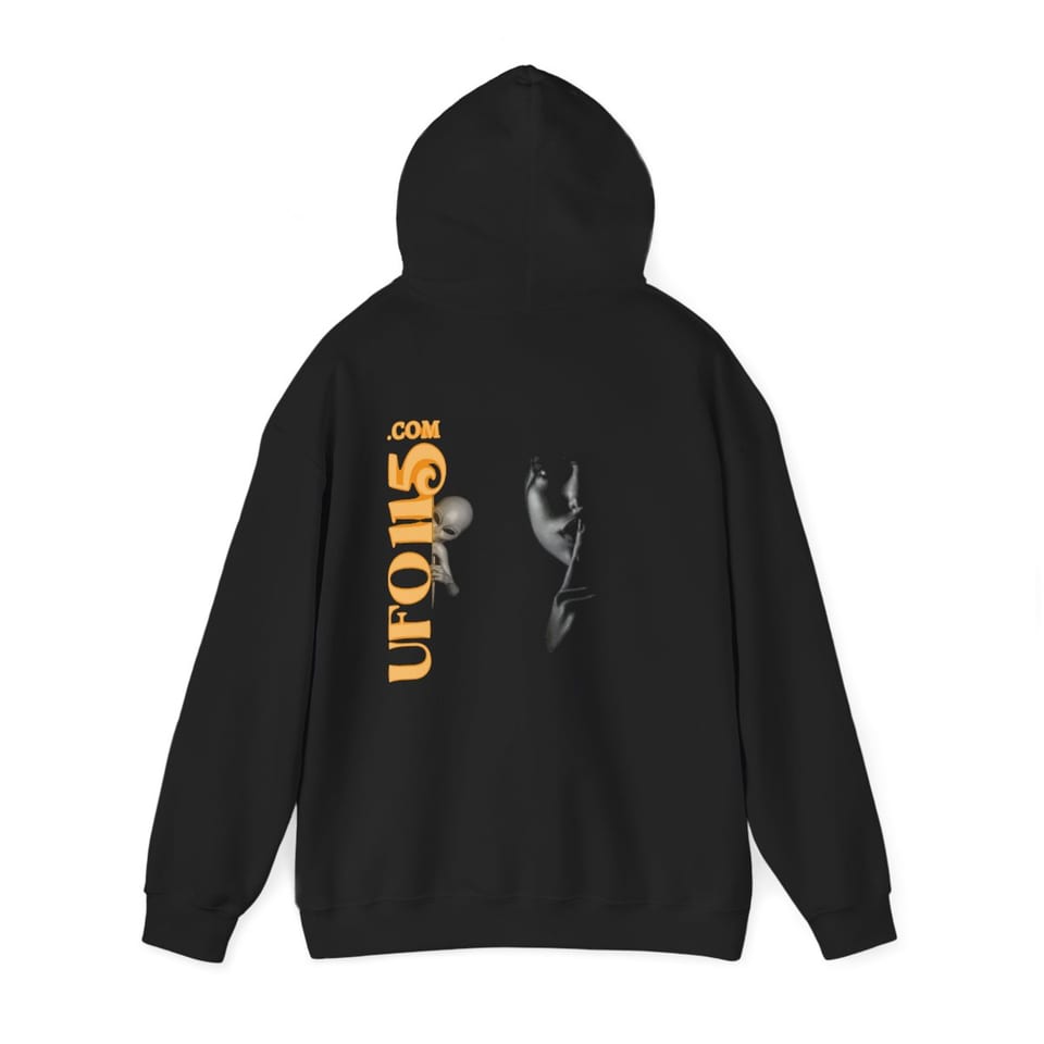 Uup 115 "You Never Saw Me" Hoodie, back 2 view (Printify product mockup)