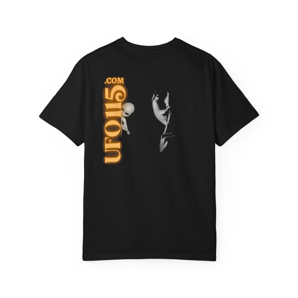 Uup 115 "You Never Saw Me" Tee, back view (Printify product mockup)