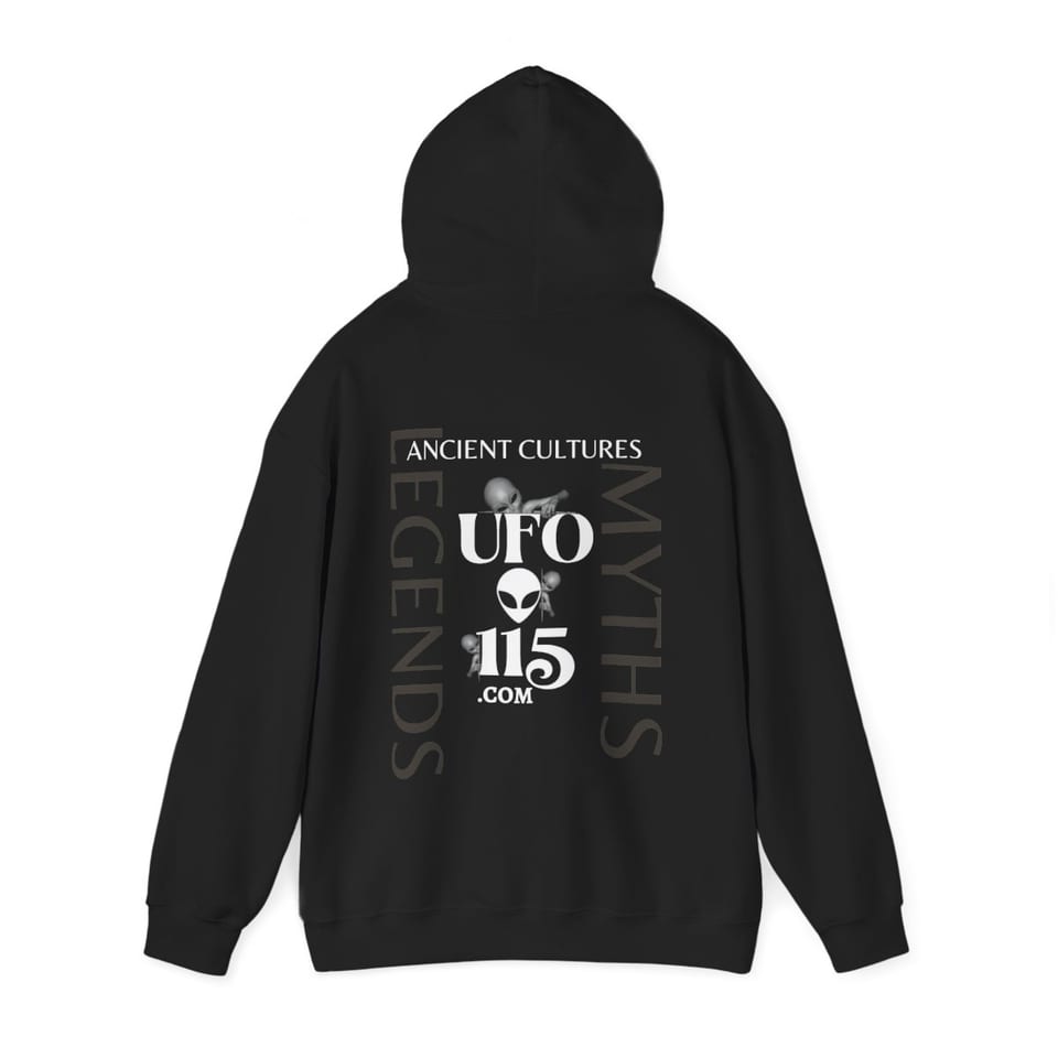 Garuda Bird Hoodie, back 2 view (Printify product mockup)