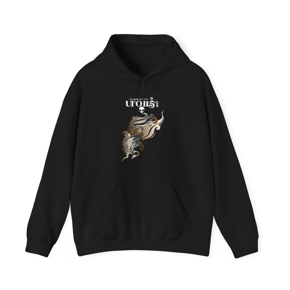 Garuda Bird Hoodie, front view (Printify product mockup)