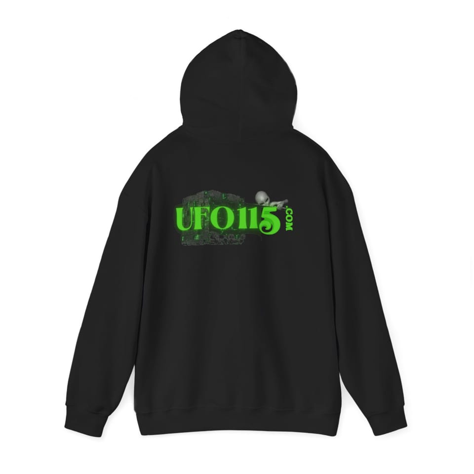Government Denial Is Futile Hoodie, back 2 view (Printify product mockup)