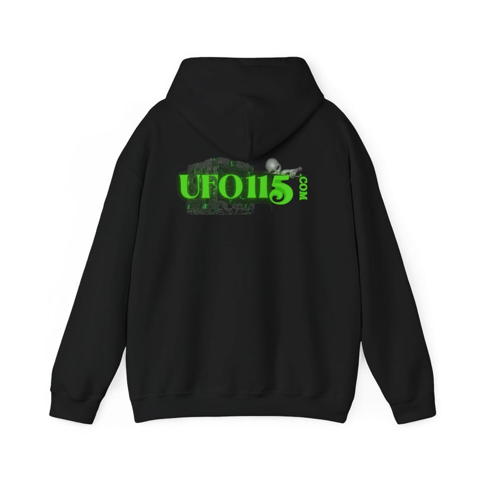 Government Denial Is Futile Hoodie, back view (Printify product mockup)