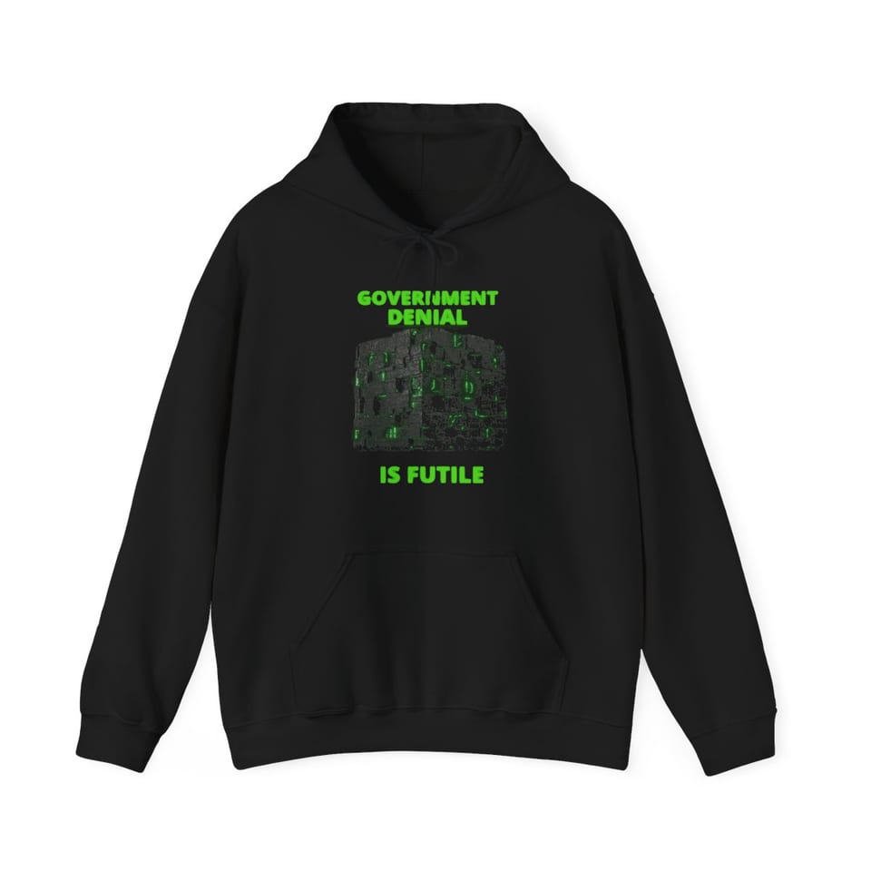 Government Denial Is Futile Hoodie, front view (Printify product mockup)