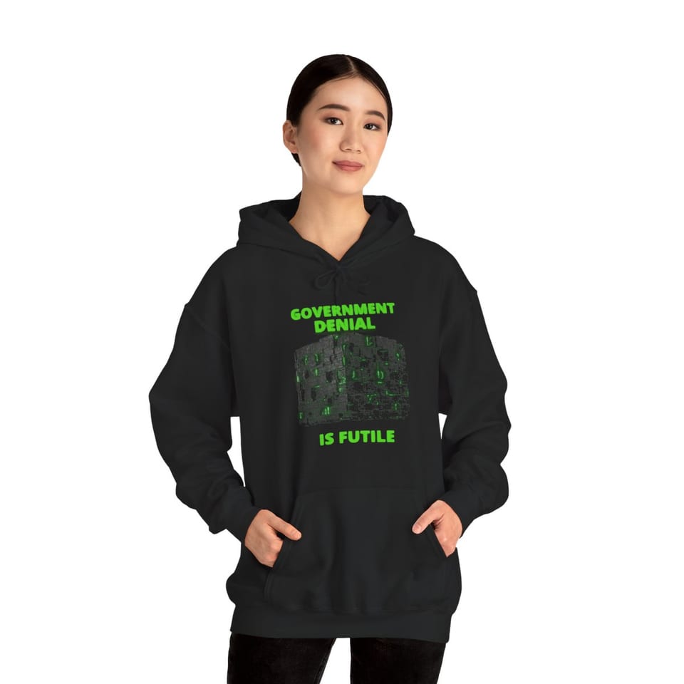 Government Denial Is Futile Hoodie, front view (Printify product mockup, on a model)