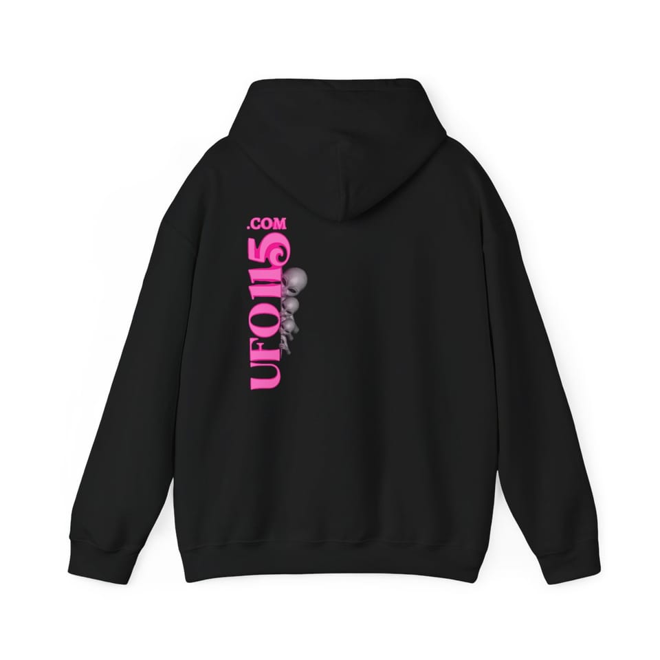Have a Nice Day Alien Hoodie, back view (Printify product mockup)