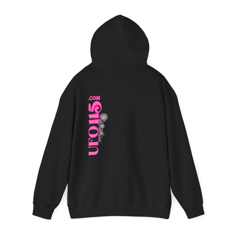 Have a Nice Day Mask Hoodie, back 2 view (Printify product mockup)