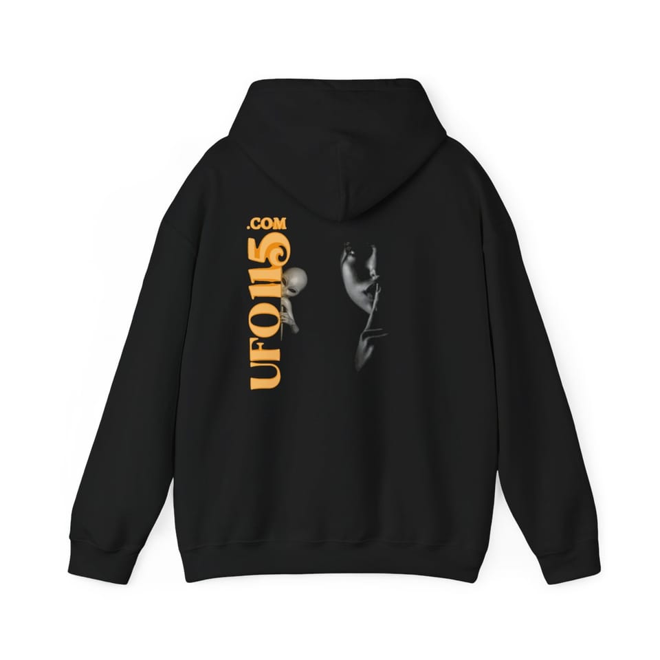 Lights Over the Desert 1997 Hoodie, back view (Printify product mockup)