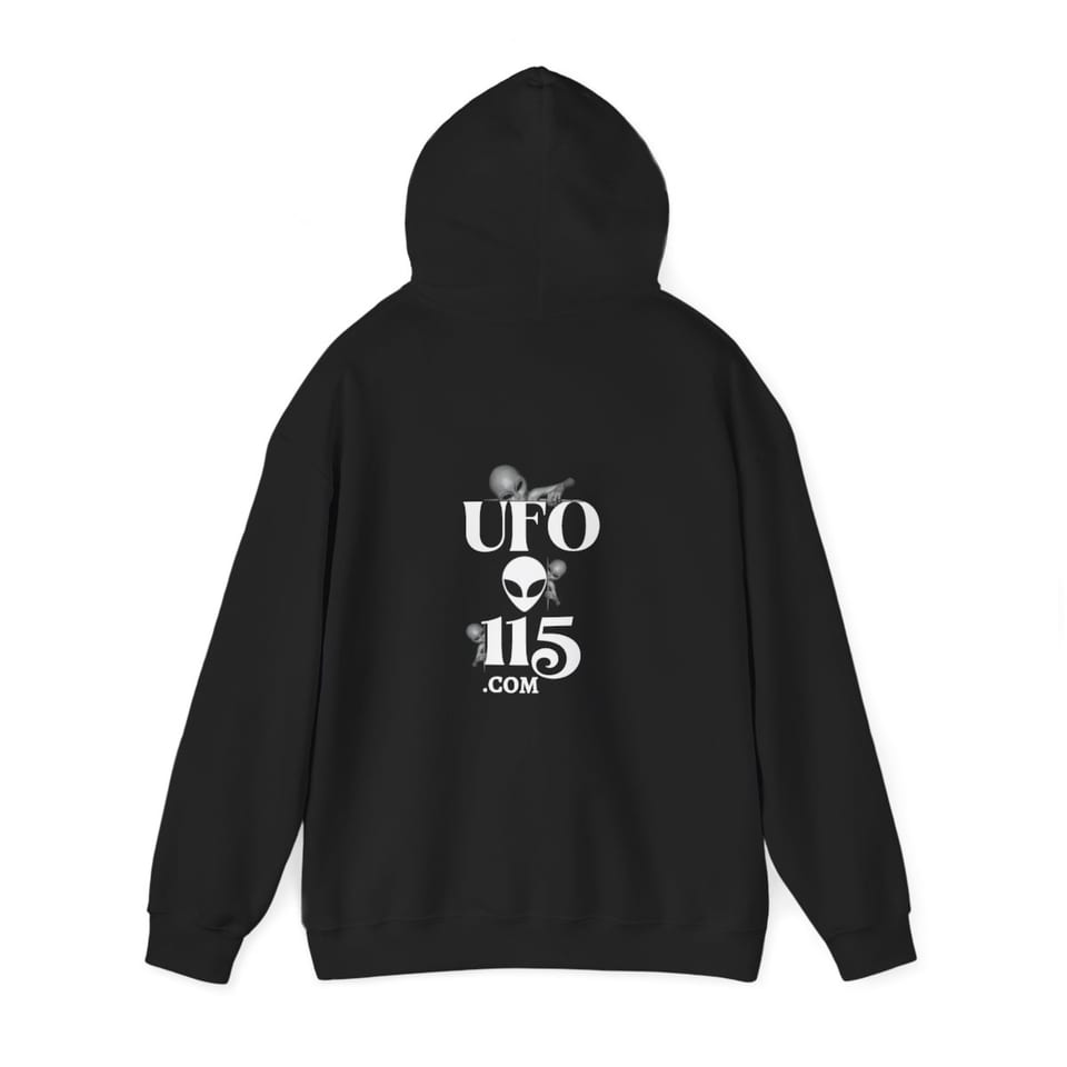 Look Up Sky Watcher Hoodie, back 2 view (Printify product mockup)
