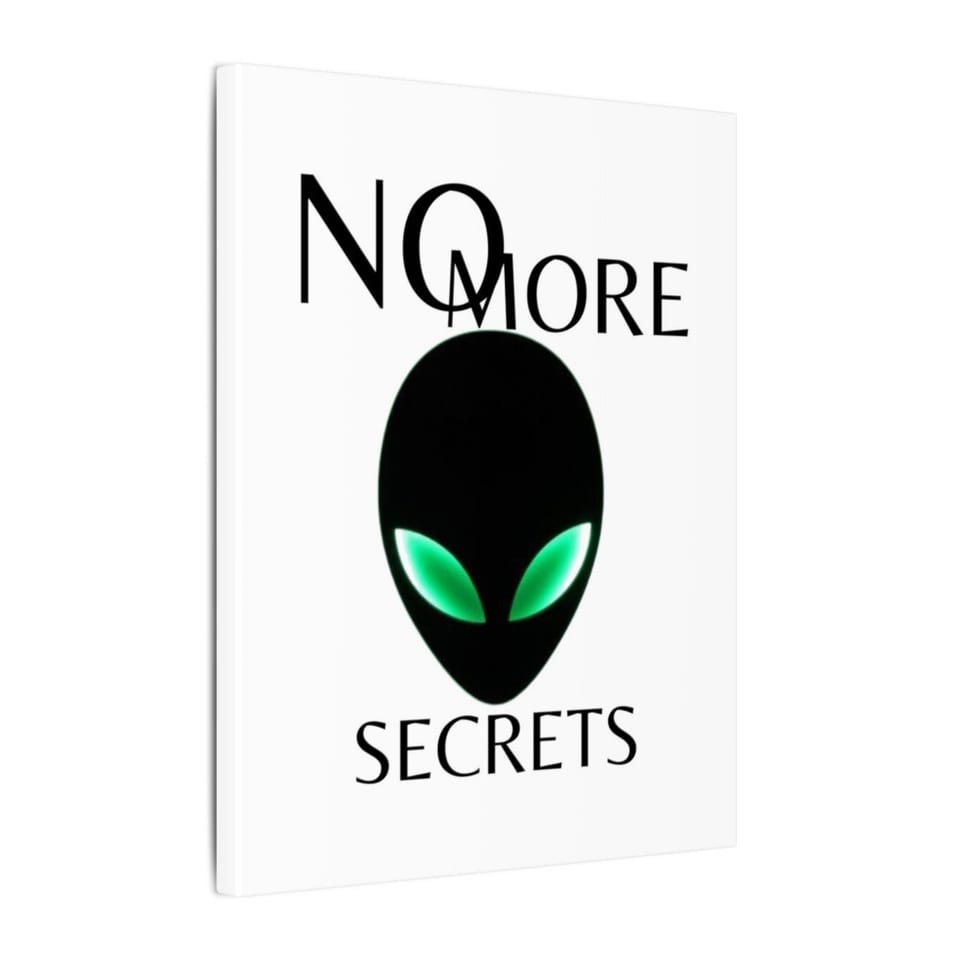 No More Secrets Alien Face Canvas, side view (Printify product mockup)