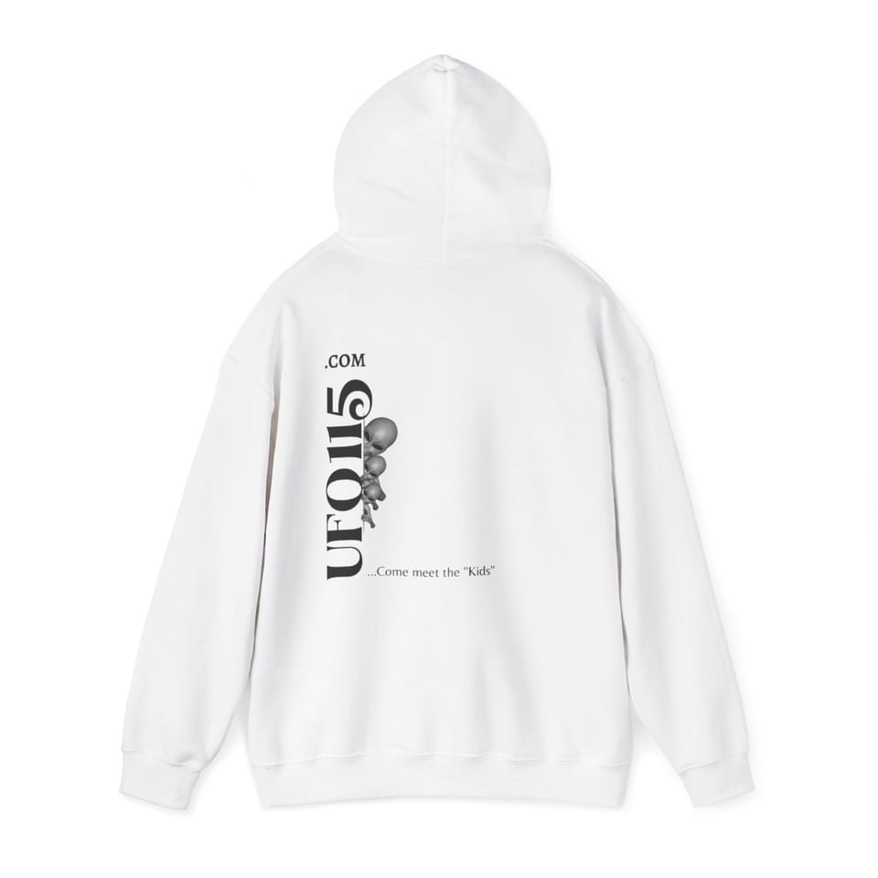 No More Secrets Alien Face Hoodie, back 2 view (Printify product mockup)