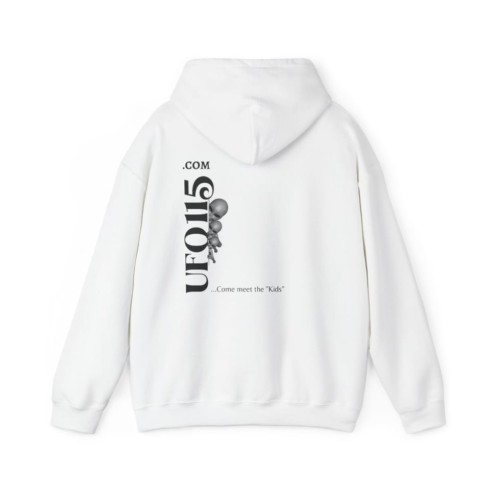 No More Secrets Alien Face Hoodie, back view (Printify product mockup)