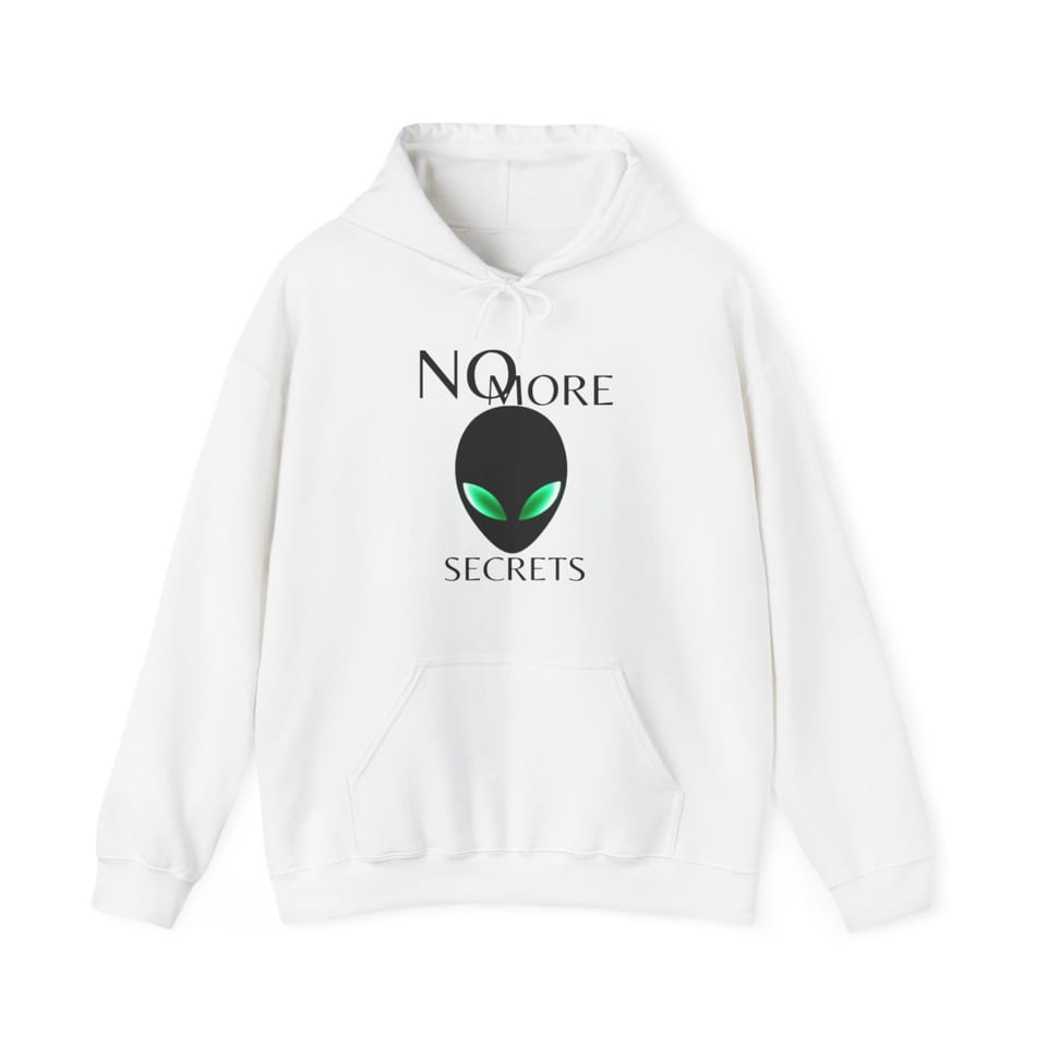 No More Secrets Alien Face Hoodie, front view (Printify product mockup)