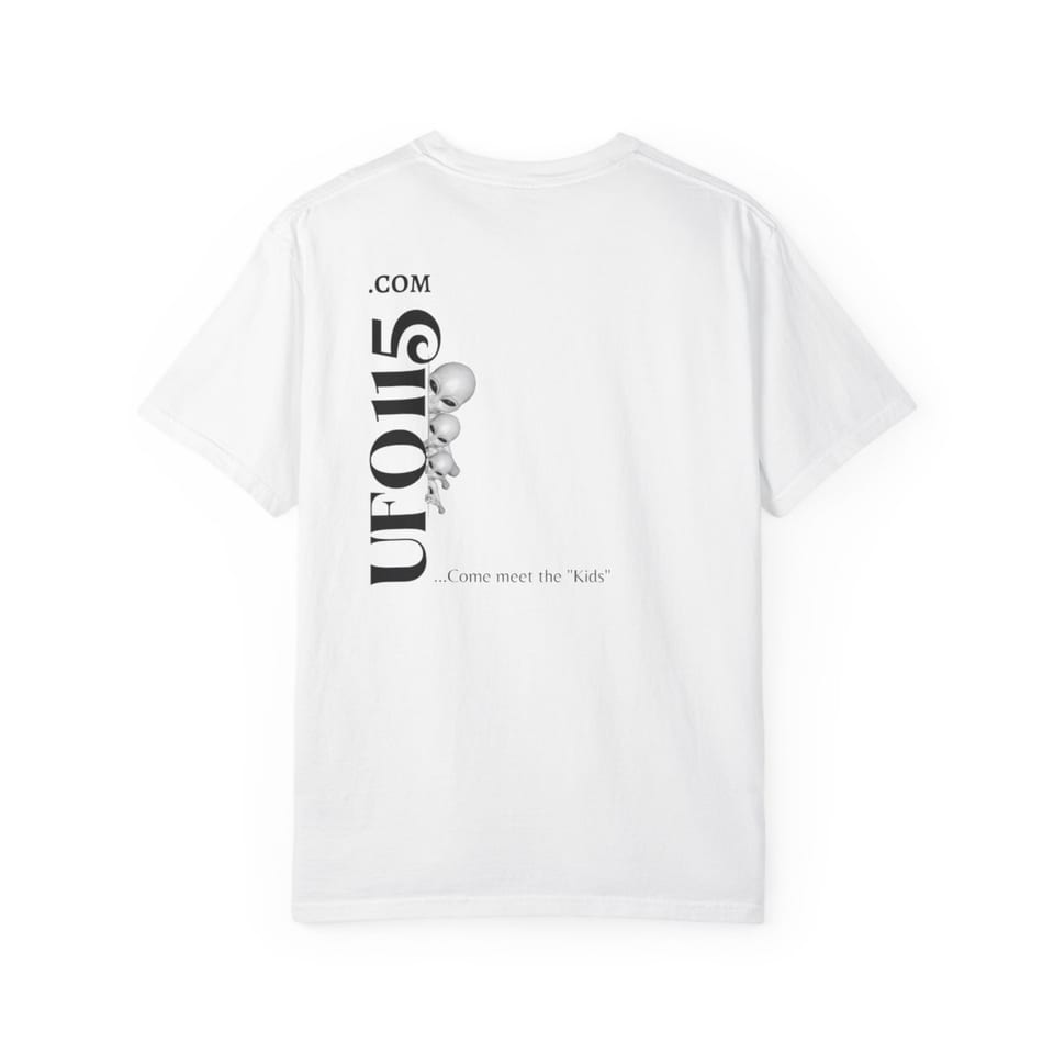 No More Secrets Alien Face Tee, back view (Printify product mockup)
