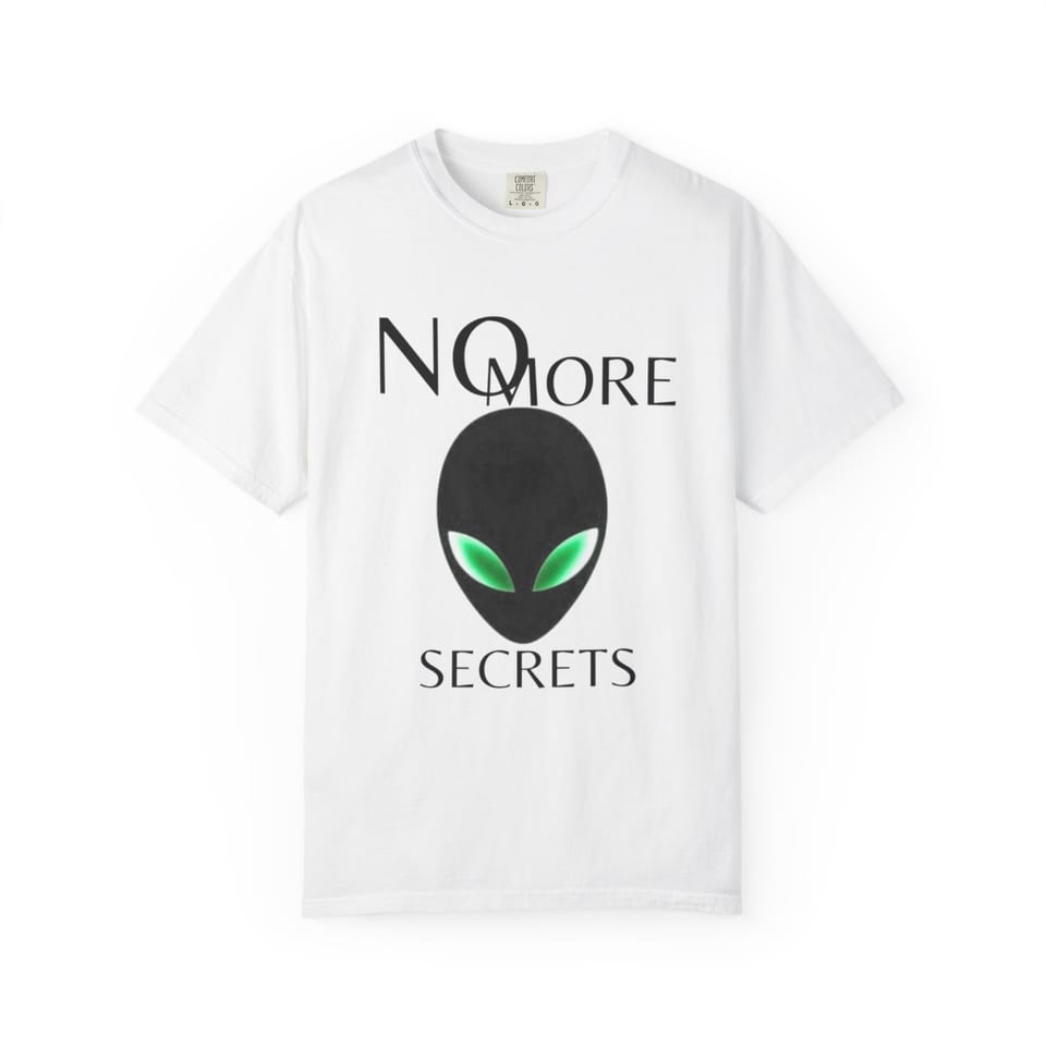 No More Secrets Alien Face Tee, front view (Printify product mockup)