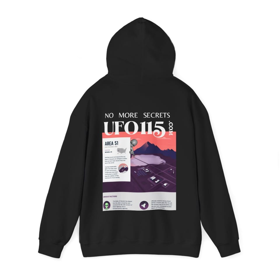 No More Secrets Area 51 Hoodie, back 2 view (Printify product mockup)