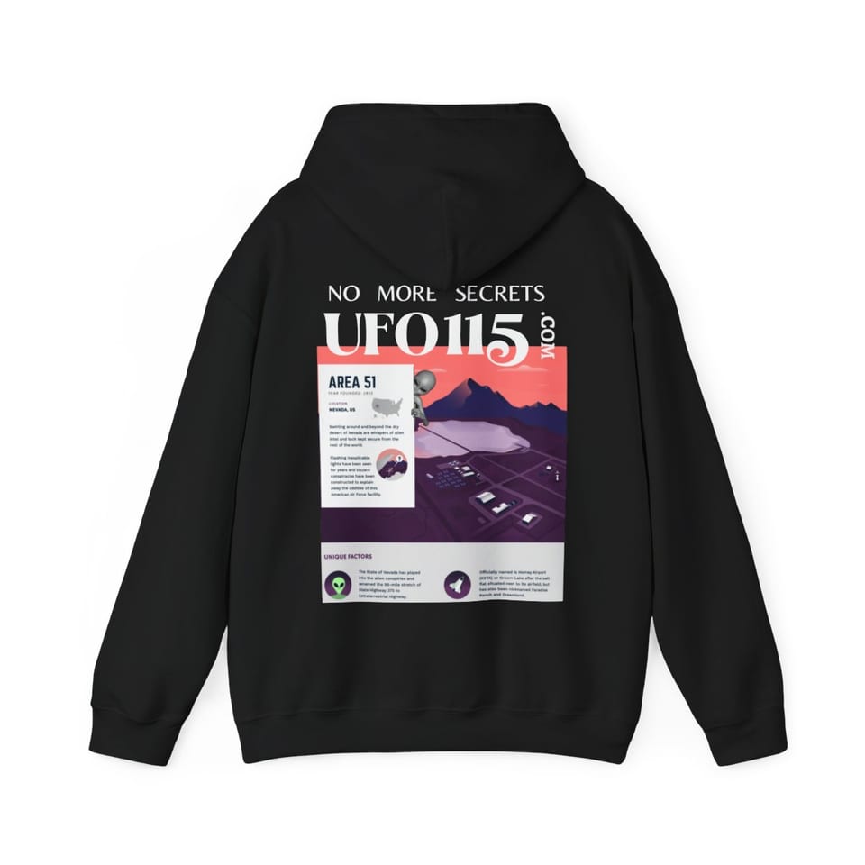 No More Secrets Area 51 Hoodie, back view (Printify product mockup)