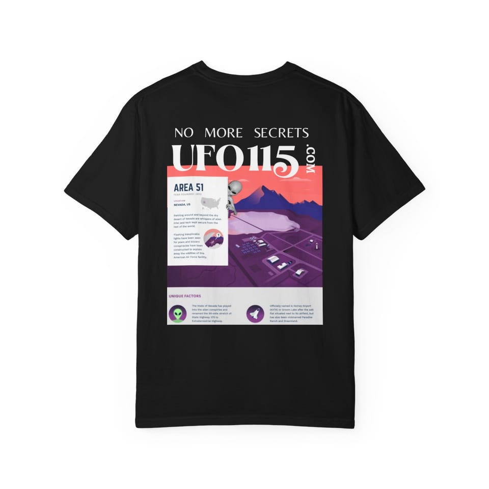 No More Secrets Area 51 Tee, back view (Printify product mockup)