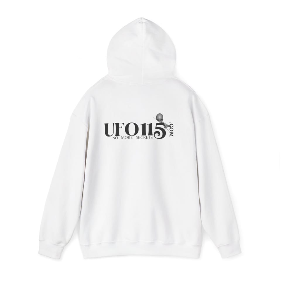 No More Secrets Black Alien Face Hoodie, back 2 view (Printify product mockup)