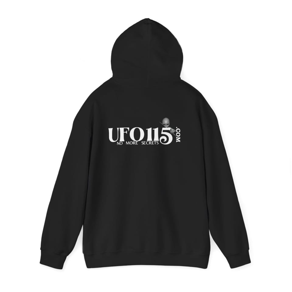 No More Secrets Green Glow Alien Face Hoodie, back 2 view (Printify product mockup)