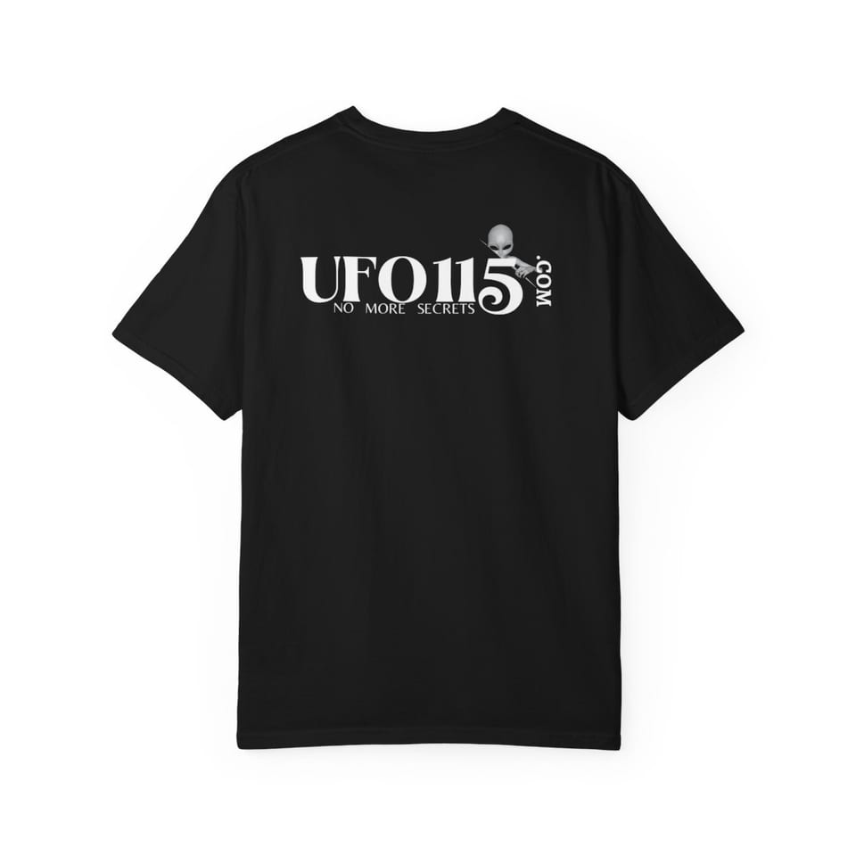 No More Secrets Green Glow Alien Face Tee, back view (Printify product mockup)