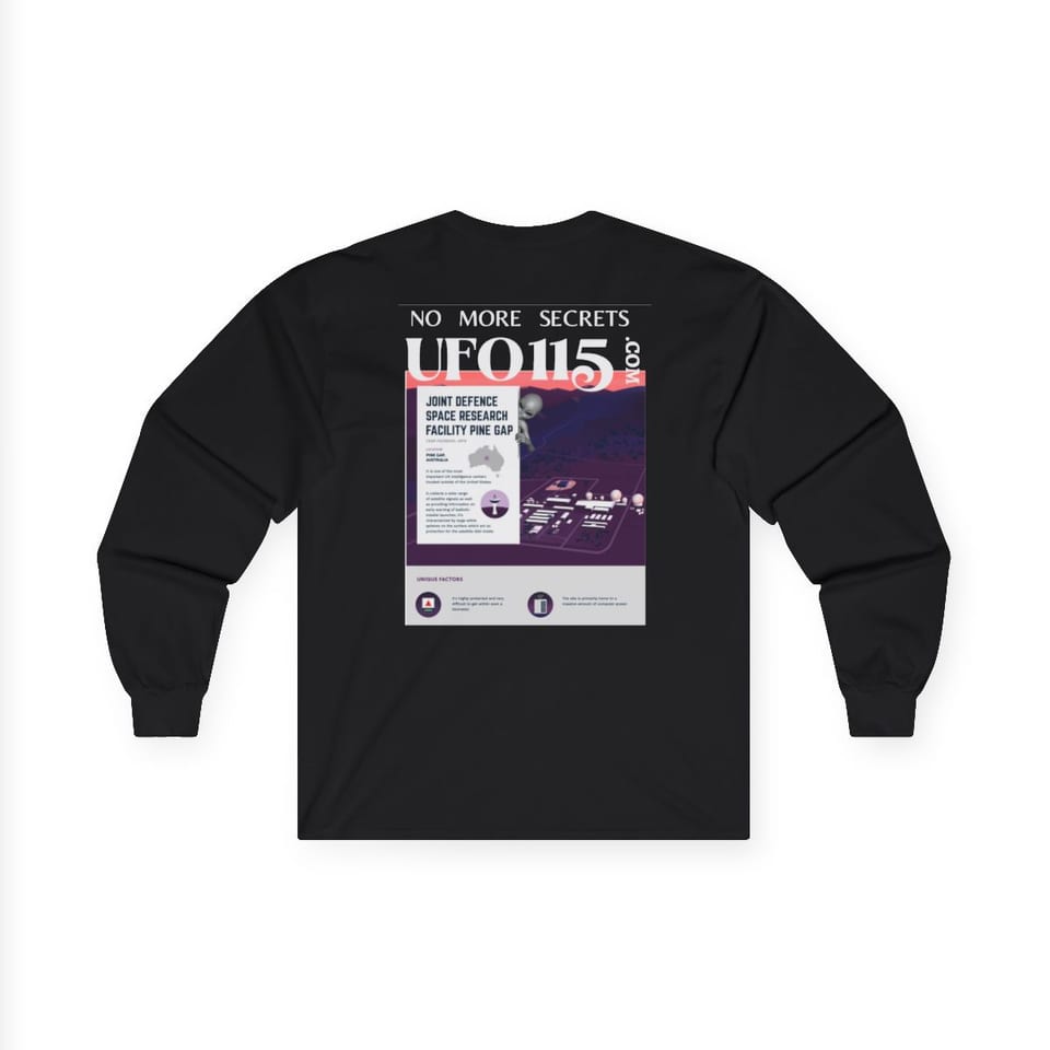 No More Secrets Pine Gap Long Sleeve Tee, back view (Printify product mockup)
