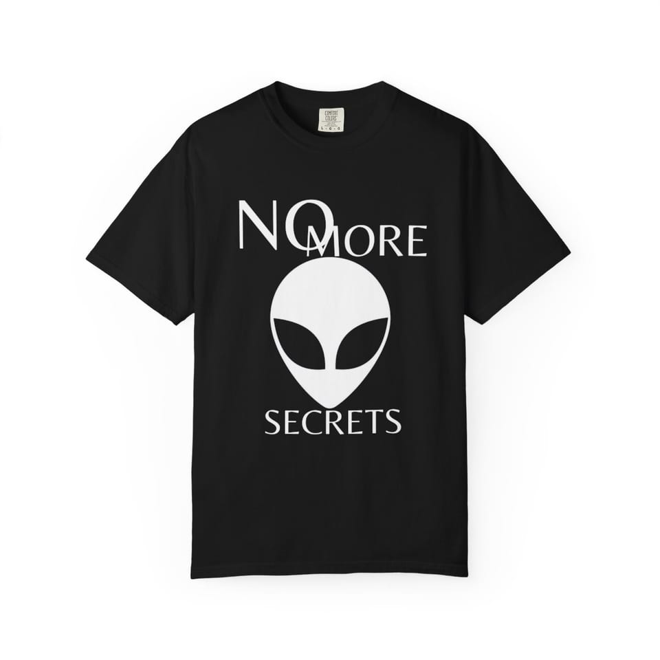 No More Secrets Pine Gap Tee, front view (Printify product mockup)