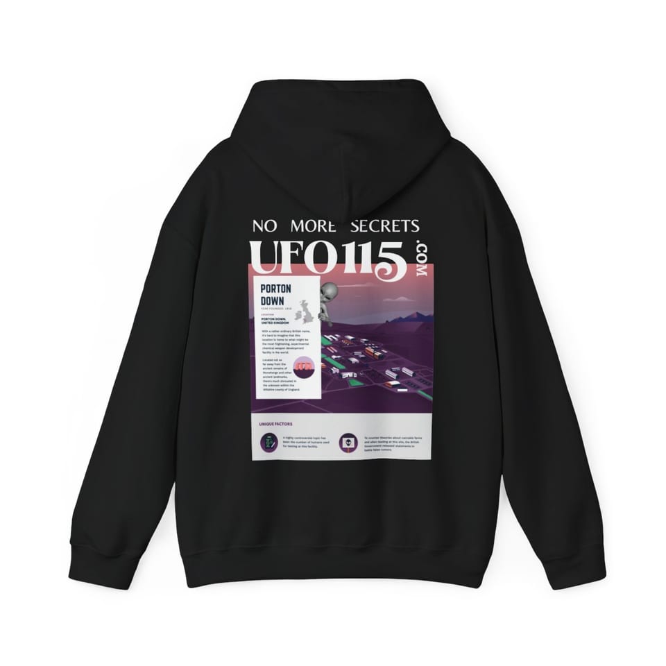 No More Secrets Porton Down Hoodie, back view (Printify product mockup)