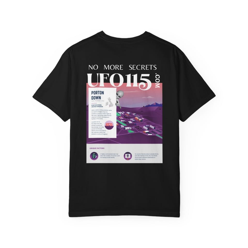 No More Secrets Porton Down Tee, back view (Printify product mockup)