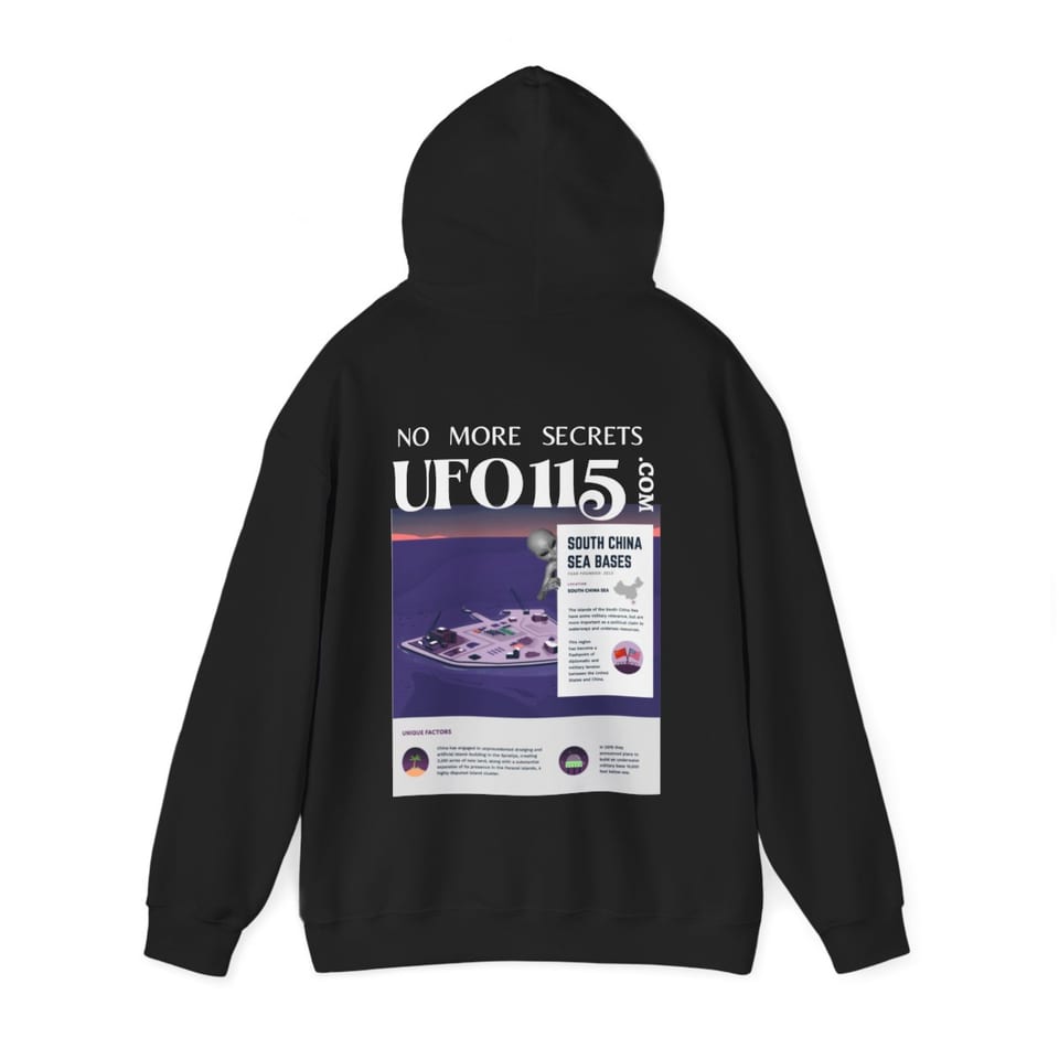 No More Secrets South China Sea Hoodie, back 2 view (Printify product mockup)