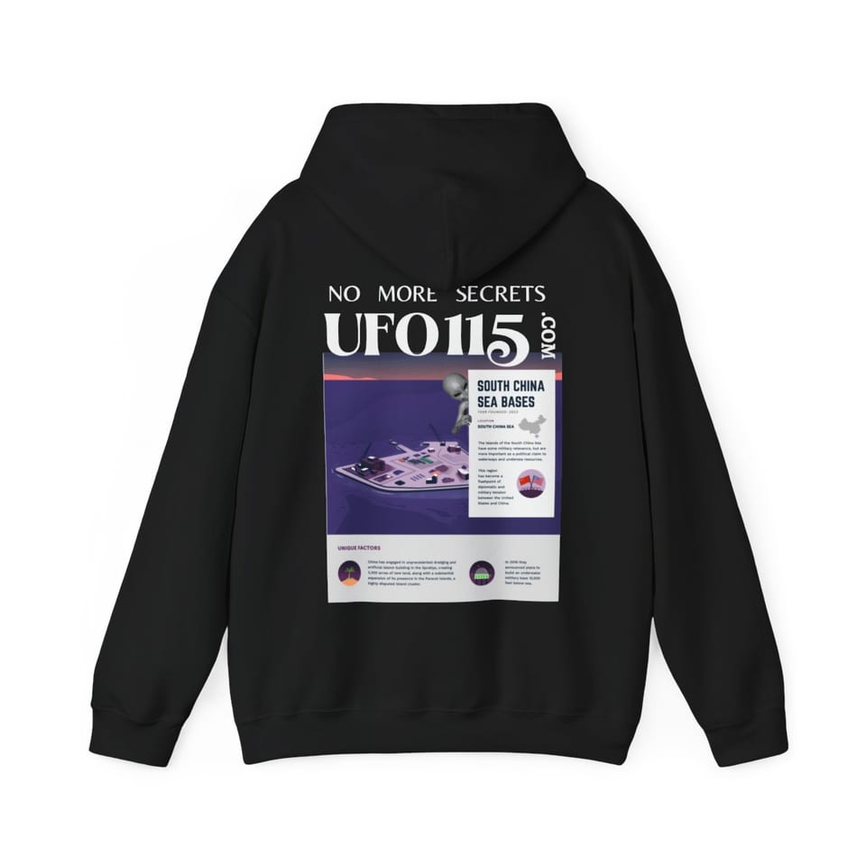 No More Secrets South China Sea Hoodie, back view (Printify product mockup)