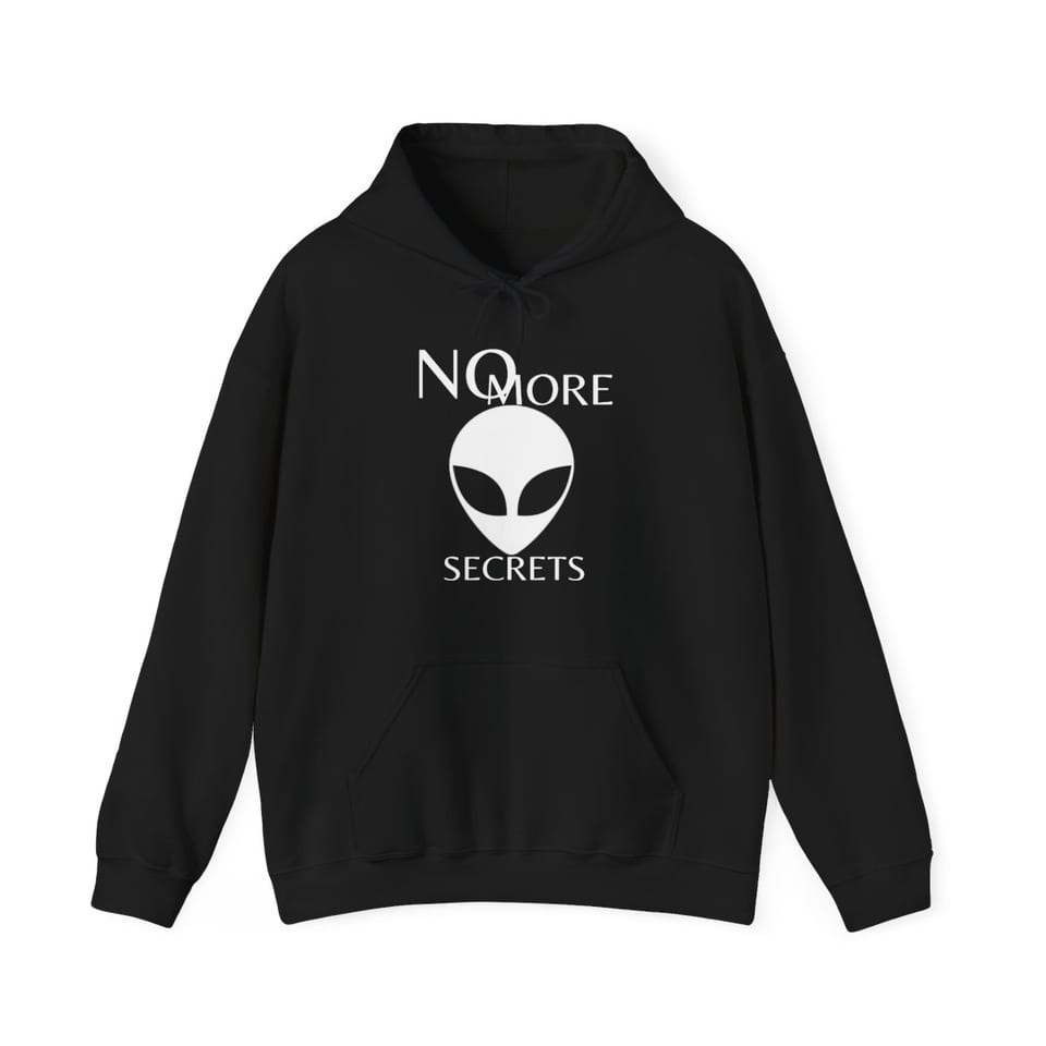 No More Secrets South China Sea Hoodie, front view (Printify product mockup)
