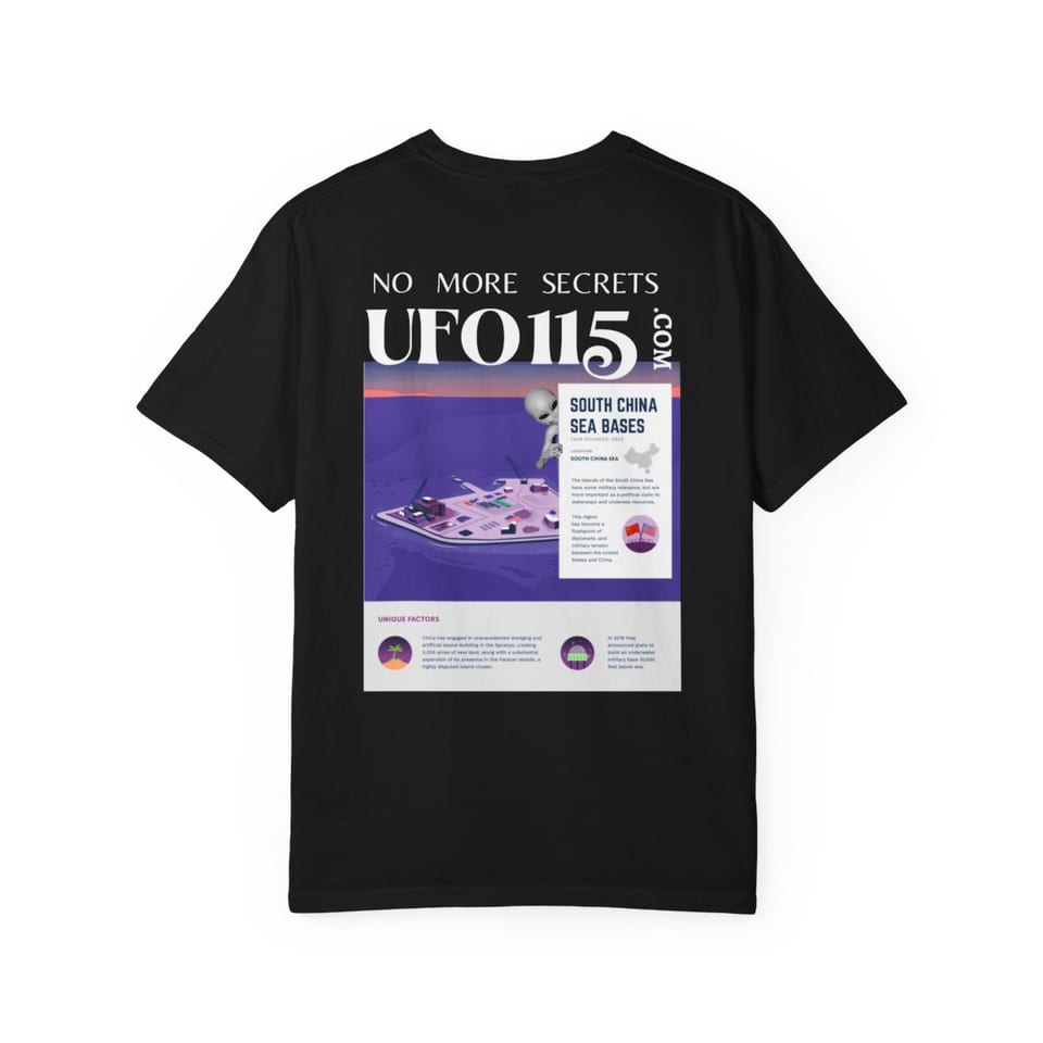 No More Secrets South China Sea Tee, back view (Printify product mockup)
