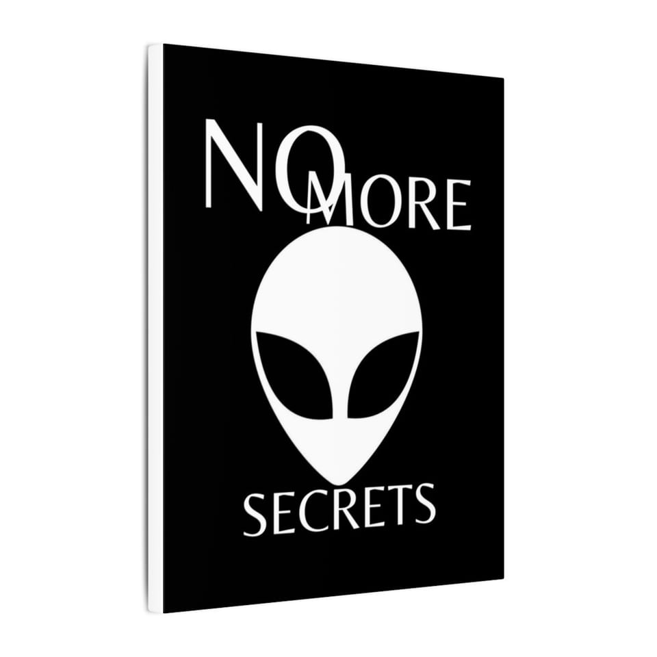 No More Secrets White Alien Face Canvas, side view (Printify product mockup)