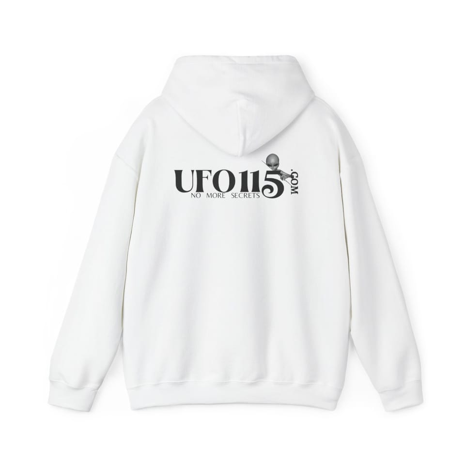 S4 ID Valiant Thor Hoodie, back view (Printify product mockup)