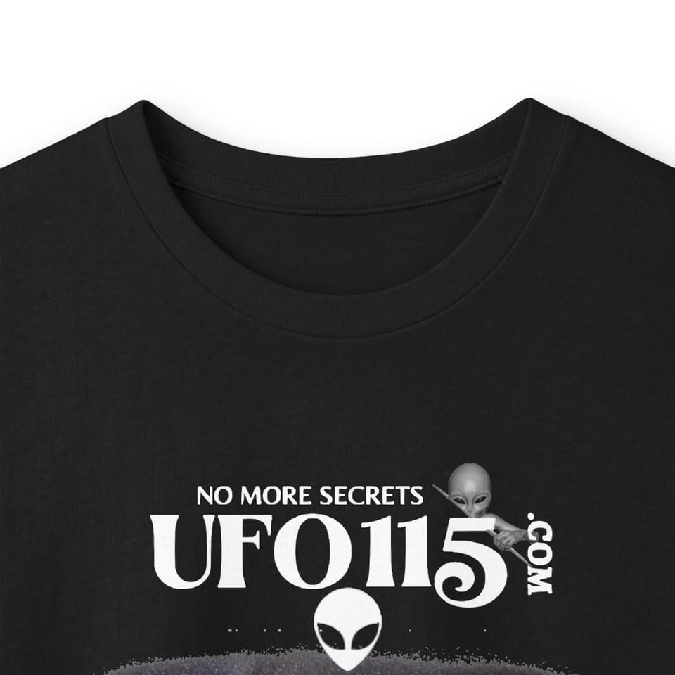 Sphinx and Sky Long Sleeve Tee, collar closeup view (Printify product mockup)