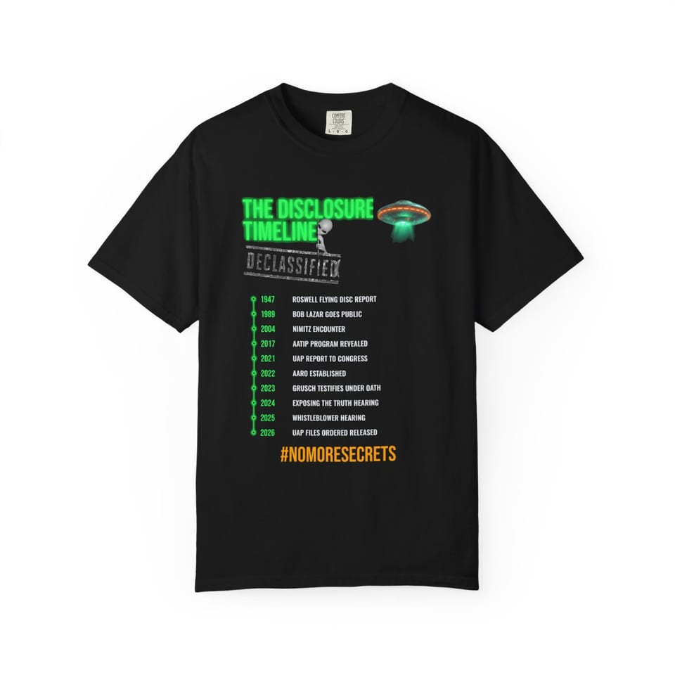 The Disclosure Timeline Tee, front view (Printify product mockup)