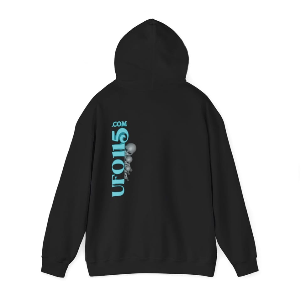 Truth Telling Bob Hoodie, back 2 view (Printify product mockup)