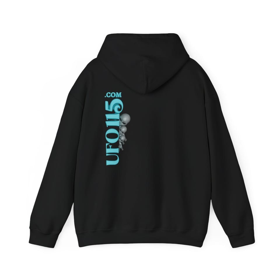 Truth Telling Bob Hoodie, back view (Printify product mockup)