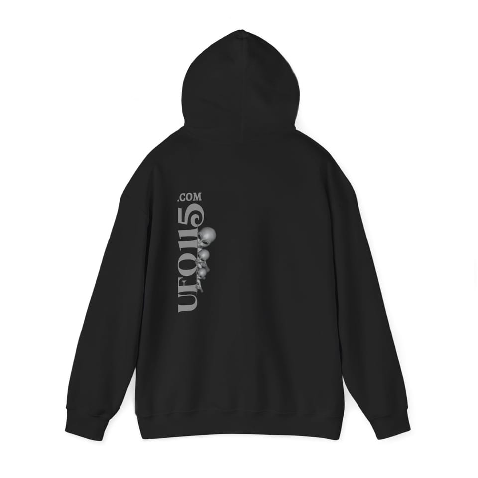 Uup 115 Entering Area 51 Hoodie, back 2 view (Printify product mockup)