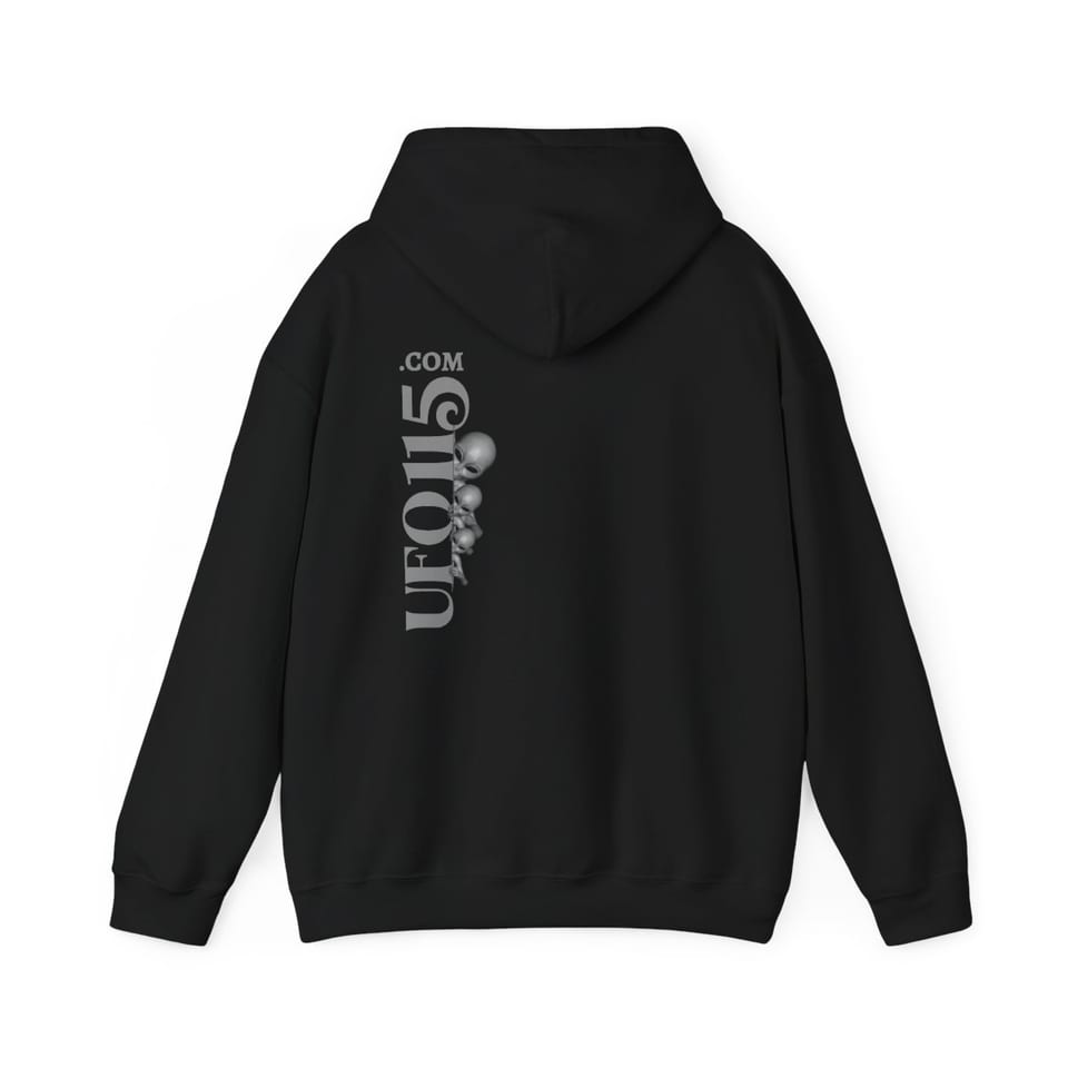 Uup 115 Entering Area 51 Hoodie, back view (Printify product mockup)