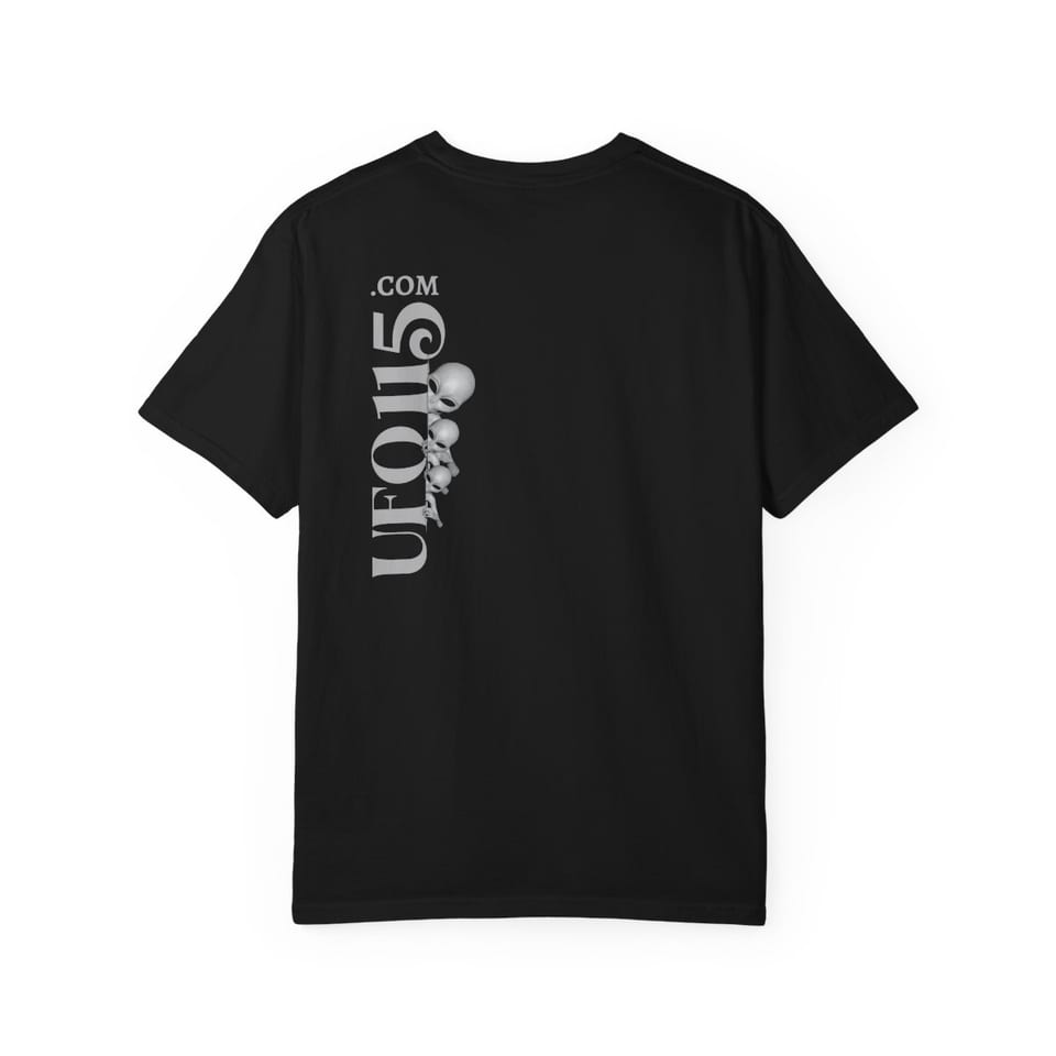 Uup 115 Entering Area 51 Tee, back view (Printify product mockup)