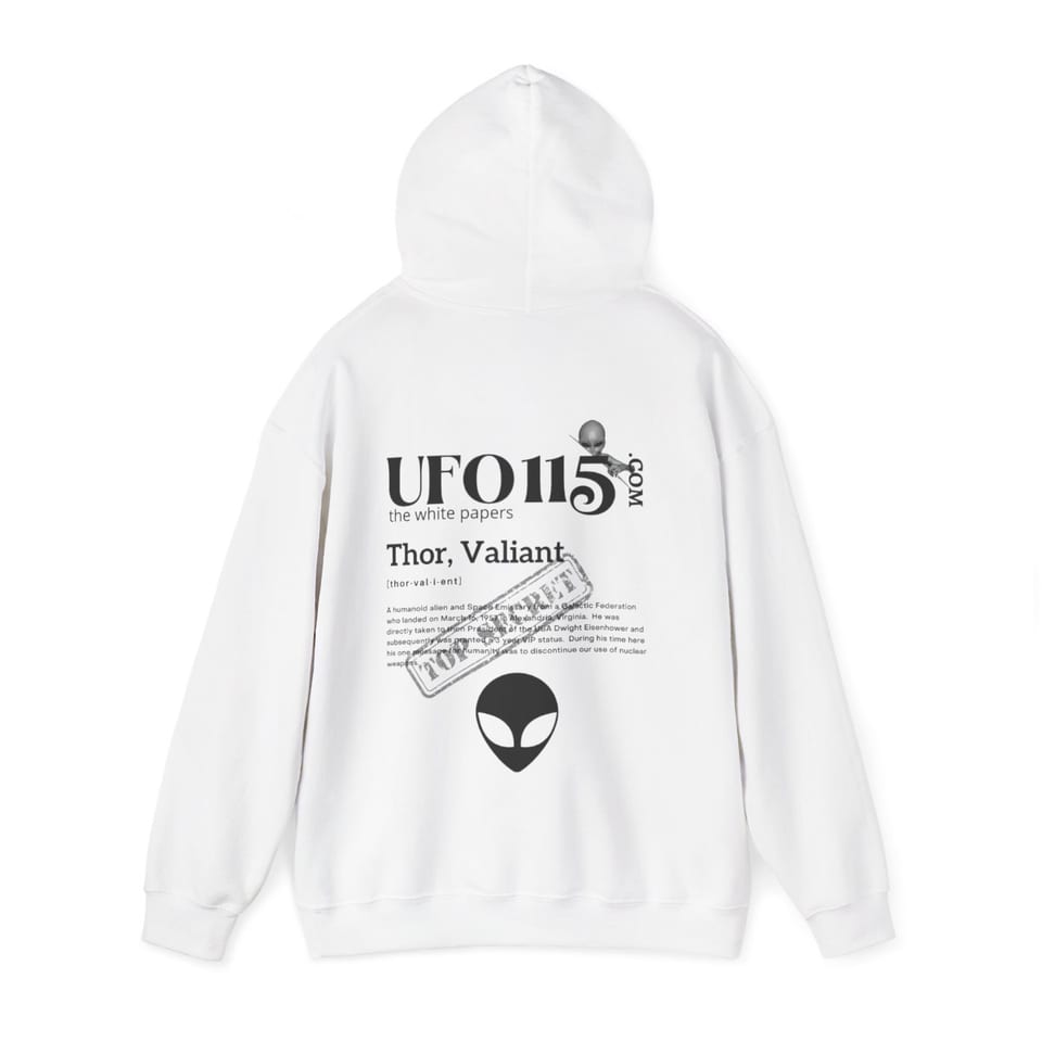 The White Papers Valiant Thor Hoodie, back 2 view (Printify product mockup)