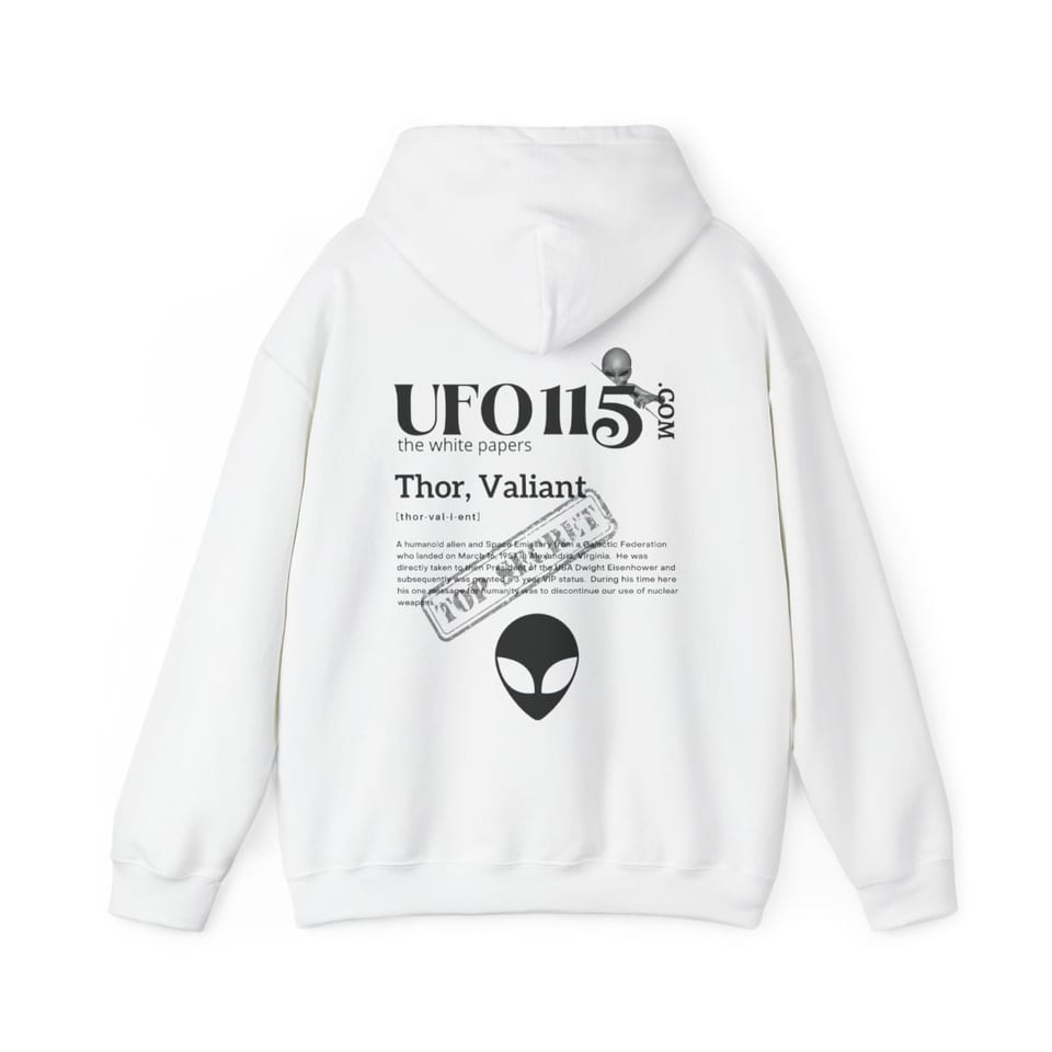 The White Papers Valiant Thor Hoodie, back view (Printify product mockup)